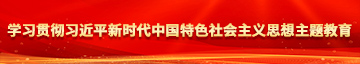 鸡巴艹小穴视频学习贯彻习近平新时代中国特色社会主义思想主题教育